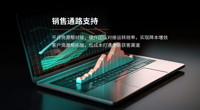 销售通路支持